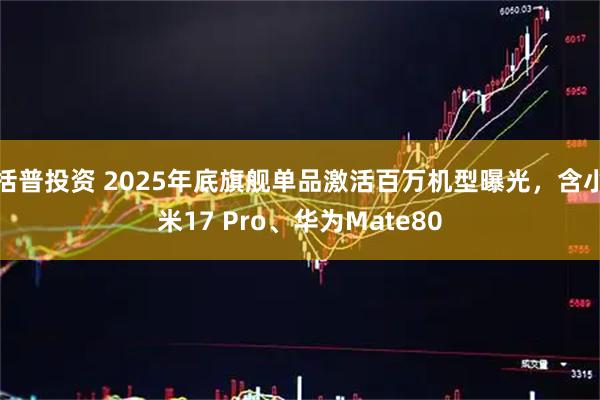括普投资 2025年底旗舰单品激活百万机型曝光，含小米17 Pro、华为Mate80